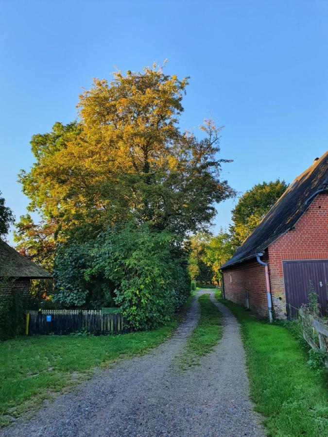 Ostssespitze Villa Riepsdorf Luaran gambar